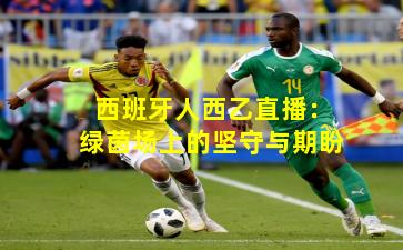 西班牙人西乙直播:绿茵场上的坚守与期盼