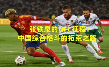 张铁泉的UFC征程：中国综合格斗的拓荒之路