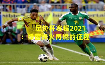 足协杯赛程2021：绿茵烽火再燃的征程
