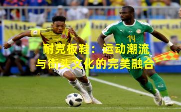 耐克板鞋：运动潮流与街头文化的完美融合