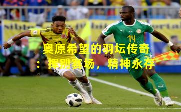 奥原希望的羽坛传奇：挥别赛场，精神永存