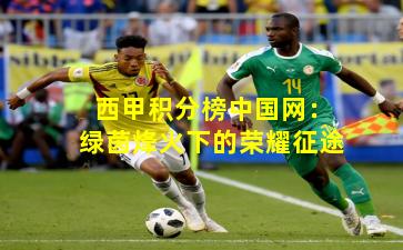 西甲积分榜中国网：绿茵烽火下的荣耀征途