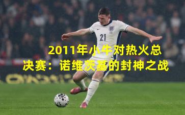 2011年小牛对热火总决赛:诺维茨基的封神之战