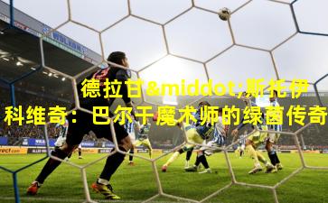 德拉甘·斯托伊科维奇:巴尔干魔术师的绿茵传奇