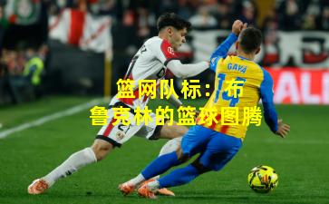  篮网队标：布鲁克林的篮球图腾