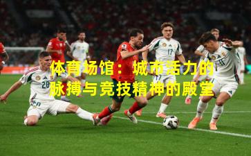 体育场馆：城市活力的脉搏与竞技精神的殿堂
